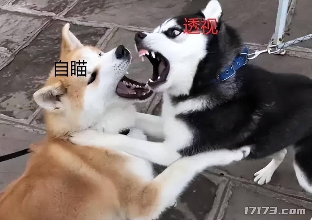 內購免費游戲盒子有哪些_內購免費游戲軟件_內購免費的游戲